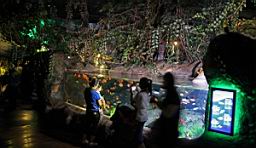 Siam Ocean World Bangkok_3281.JPG